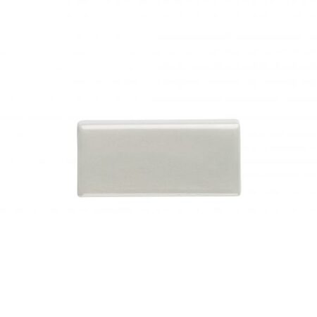 Nest – Dapple | Ceramic - 2.5x5 in. Bullnose Tile (5" Side)