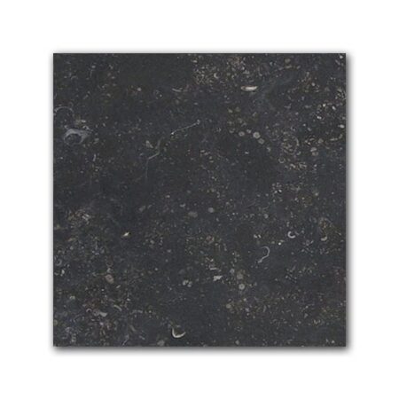Belgian (Midnight) Bluestone | Limestone - 8x8 in. Field Tile | Honed (3/8" Thick)