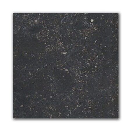 Belgian (Midnight) Bluestone | Limestone - 16x16 in. Field Tile | Honed (3/8" Thick)