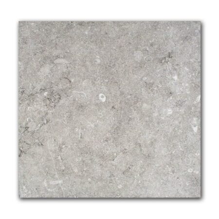 Belgian Bluestone (Exterior) | Limestone - 16xFREELENGTHx3/4 in. Field Tile | Agripa Finish