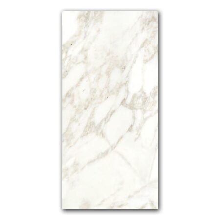 Vagli Calacatta | Marble - 12x24 in. Field Tile | Honed/Polished