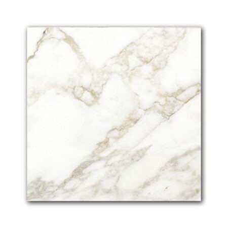 Vagli Calacatta | Marble - 12x12 in. Field Tile | Honed/Polished