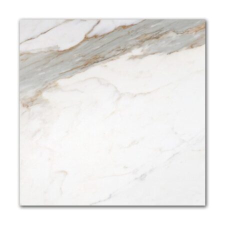 Calacatta | Marble - 18x18 in. Field Tile | Honed/Polished
