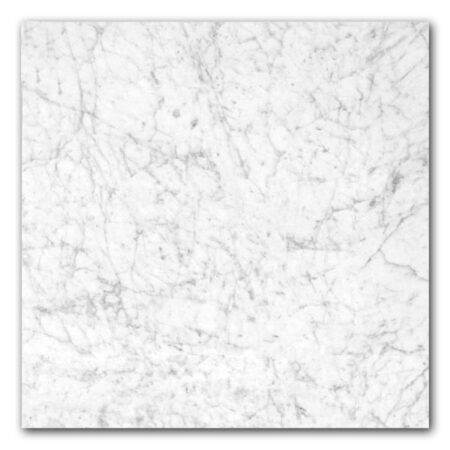 Gioia Venatino | Marble - 24x24 in. Field Tile | Honed/Polished