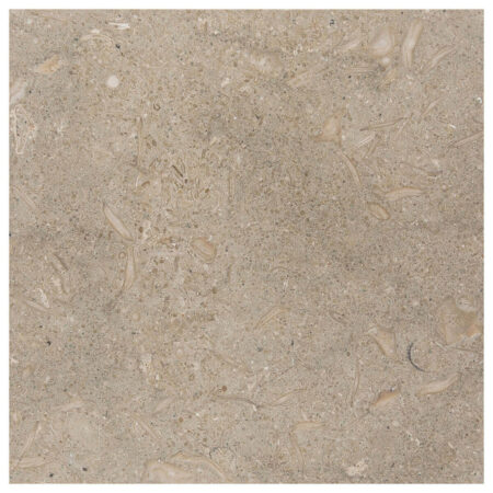 Pistache (Seagrass) | Limestone - 12x12 in. Field Tile | Honed (3/8" Thick)