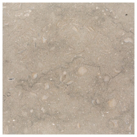 Pistache (Seagrass) | Limestone - 18x18 in. Field Tile | Honed (3/8" Thick)