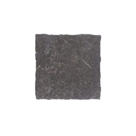 Noir Sully | Limestone - 9x9 in. Field Tile | Old World (3/8" Thick)