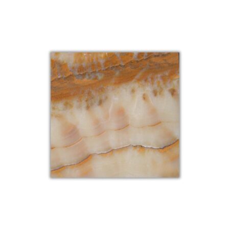 Tiger Onyx | 12x12 in. Field Tile | Vein-Cut & Polished