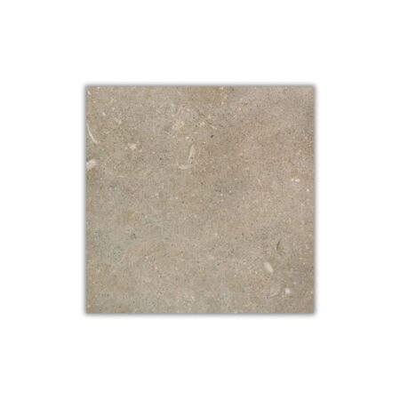 Olive Green | Limestone - 12x12 in. Field Tile | Polished
