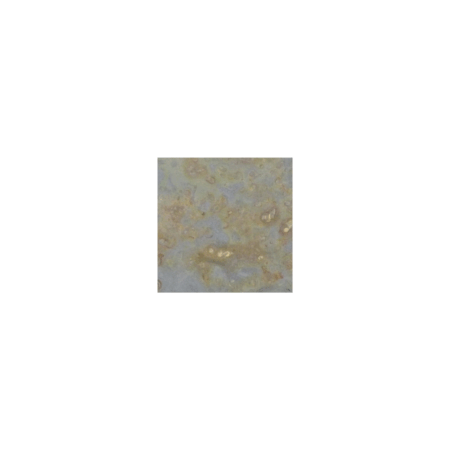 Multicolor Autumn | Slate - 4x4 in. Field Tile | Tumbled (3/8" Thick)