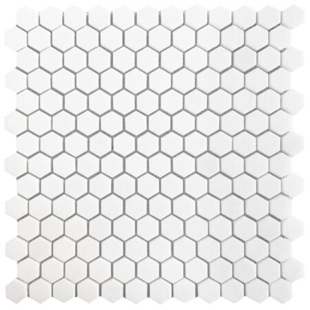 White Thassos | 1 in. Hexagon Mosaic | Polished