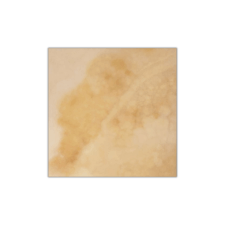 Golden Classic Persian | Onyx - 12x12 in. Field Tile | PREMIUM Polished