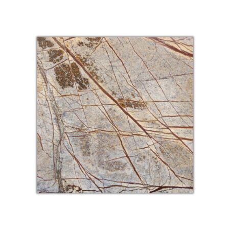 Cafe Forest | Marble - 12x12 in. Field Tile | Polished